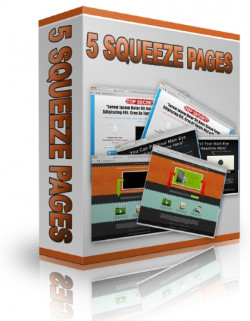 Languages PLR Niche Website