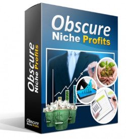 Obscure Niche Profits