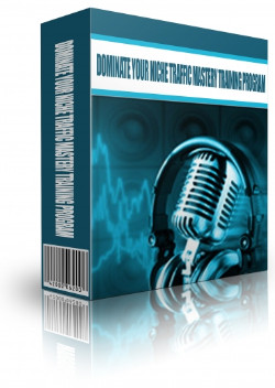Dominate Your Niche Traffic Mastery Training Program